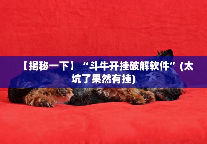 【玩家新攻略】“微信斗牛怎么开挂作弊”(原来确实是有挂)