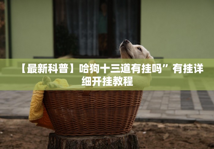 【玩家必备技术】“玩牌总是输征兆”原来可以开挂