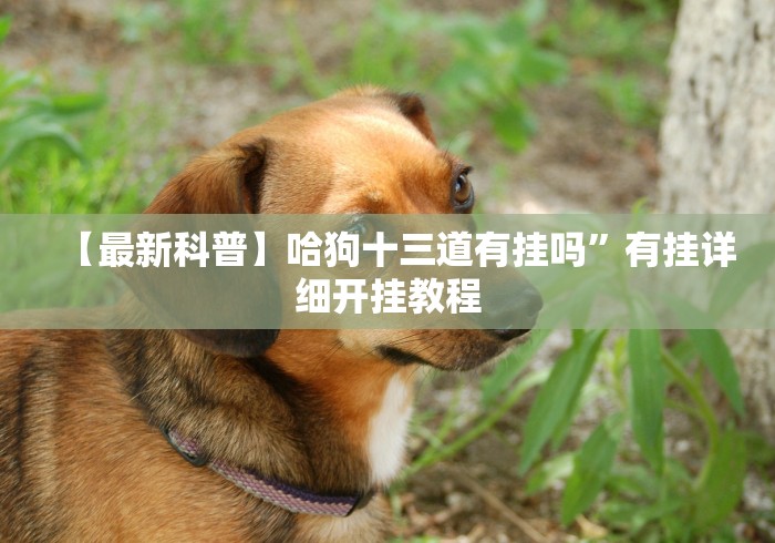 【最新科普】微信拼三张能开挂吗”(果然有透视挂)