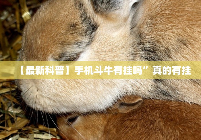 教程分享“南昌微乐麻将有挂吗”开挂详细教程