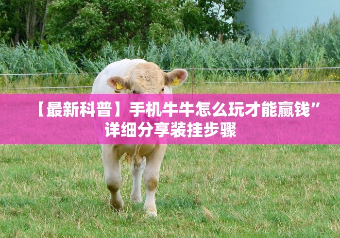 五分钟了解＂博乐兴安盟麻将怎么开挂”开挂步骤方法