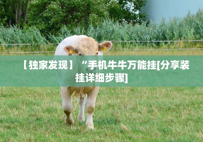 软件分享:边锋辽宁游戏有挂吗”能不能开挂!