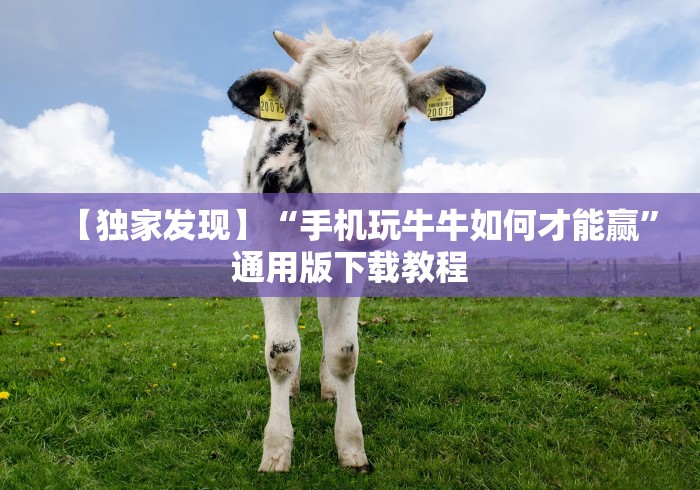 【第一消息】“微信牛牛有什么规律吗”-开挂神器-包教包会