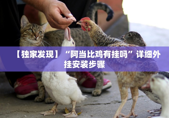 给大家讲解“开心小辣可以开挂吗”(详细透视教程)-
