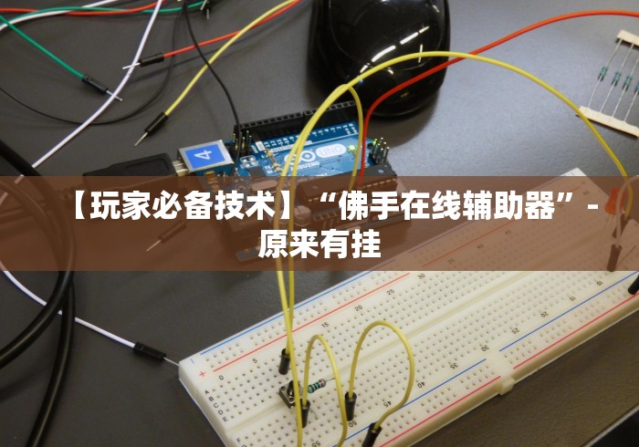 【第一攻略】“十三开挂作弊辅助”(透视曝光猫腻)