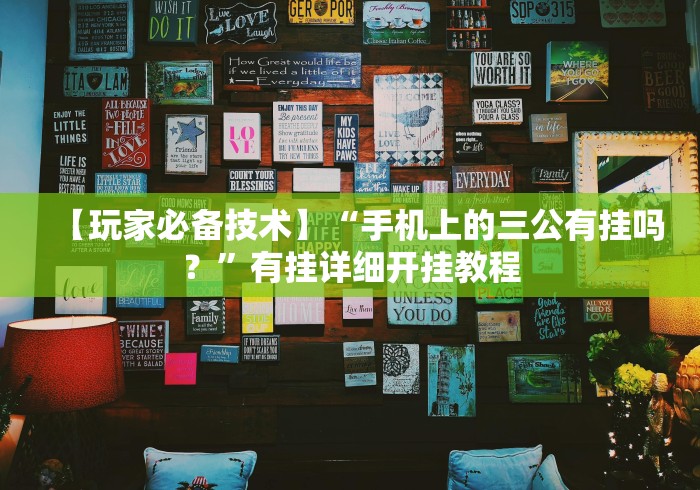 【玩家必备技术】“手机上的三公有挂吗？”有挂详细开挂教程
