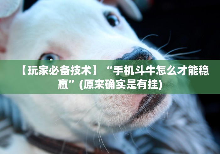 【玩家必备技术】“手机斗牛怎么才能稳赢”(原来确实是有挂)