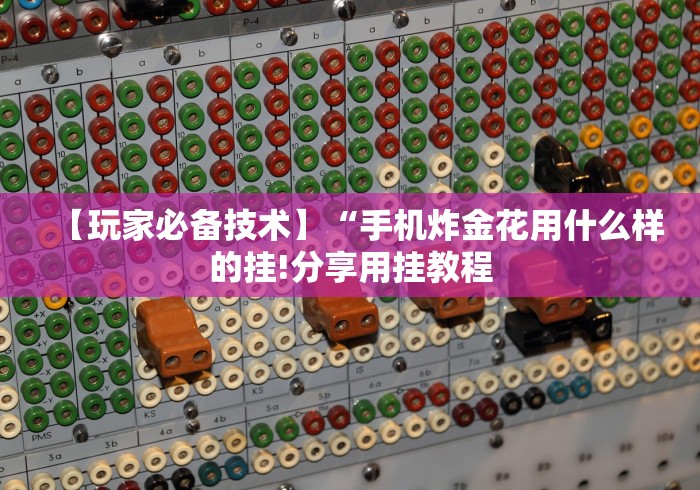 【玩家必备技术】“手机炸金花用什么样的挂!分享用挂教程