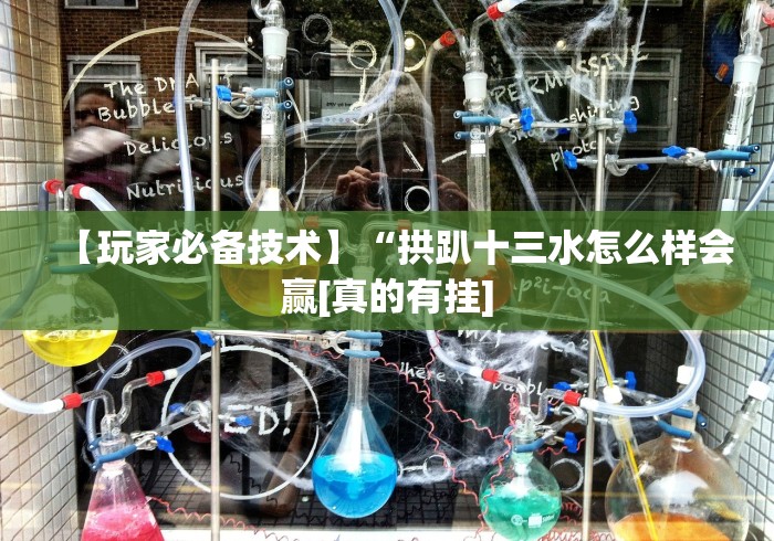 【玩家必备技术】“拱趴十三水怎么样会赢[真的有挂]