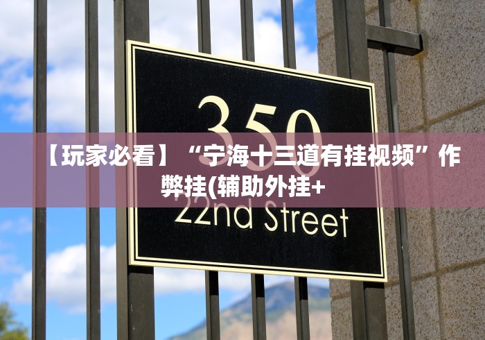 【玩家必看】“宁海十三道有挂视频”作弊挂(辅助外挂+