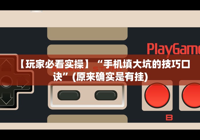 【玩家必看实操】“手机填大坑的技巧口诀”(原来确实是有挂)
