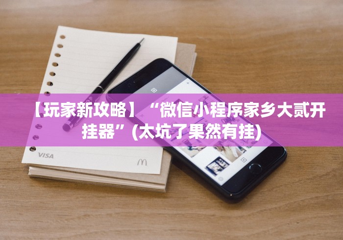 【玩家新攻略】“微信小程序家乡大贰开挂器”(太坑了果然有挂)