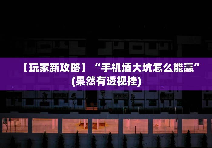【玩家新攻略】“手机填大坑怎么能赢”(果然有透视挂)