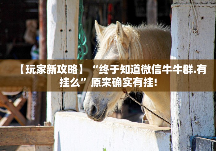 【玩家新攻略】“终于知道微信牛牛群.有挂么”原来确实有挂!