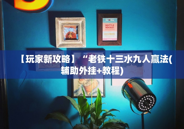 【玩家新攻略】“老铁十三水九人赢法(辅助外挂+教程)