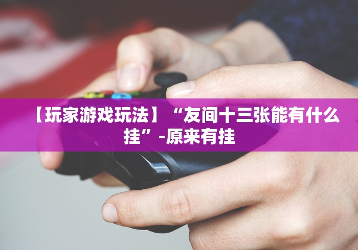 【玩家游戏玩法】“友间十三张能有什么挂”-原来有挂