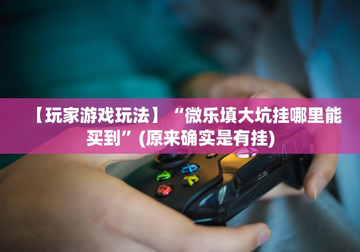 推荐一款“哈灵上海麻将开挂神器”(原来确实是有插件)