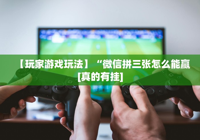 辅助最新信息“微乐自建房安装挂”作弊挂(辅助外挂+