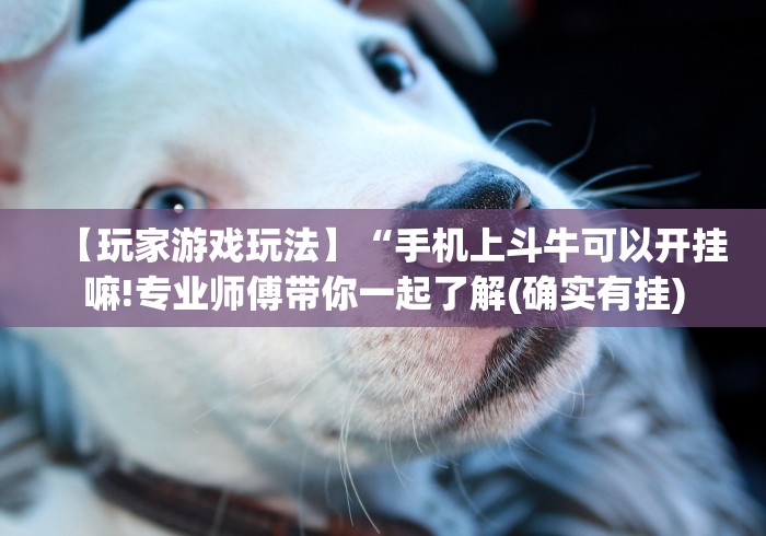 玩家热议“微乐河北麻将有什么技巧”(透视挂)最新辅助详细教程