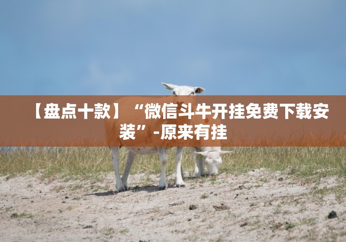 【盘点十款】“微信斗牛开挂免费下载安装”-原来有挂