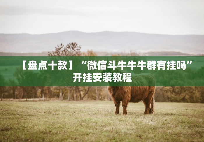 【重大消息】“微信财神十三张有挂吗”(果然有透视挂)