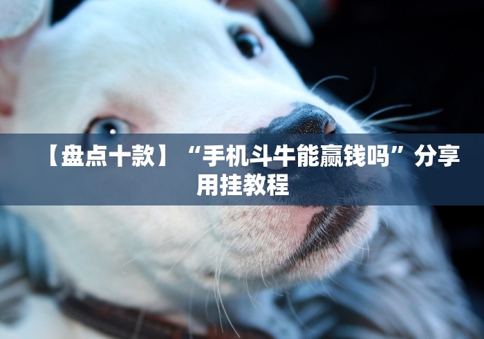 最新总结“微乐麻将一直赢的规律”(透视)其实真的有挂