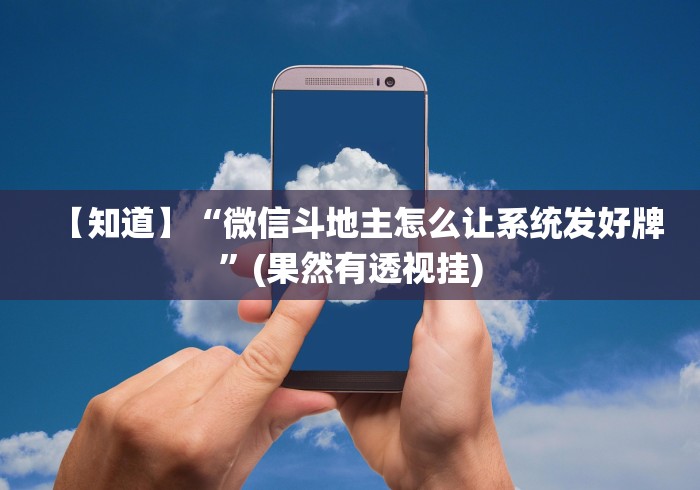 全网解答｜“大头十三水外卦辅助神器”(果然有透视挂)