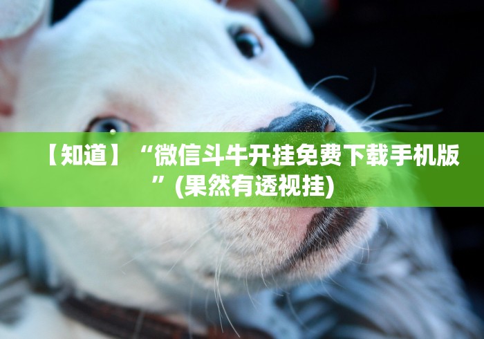 今日教程“中至江西麻将有挂吗”科技辅助神器手机版教程