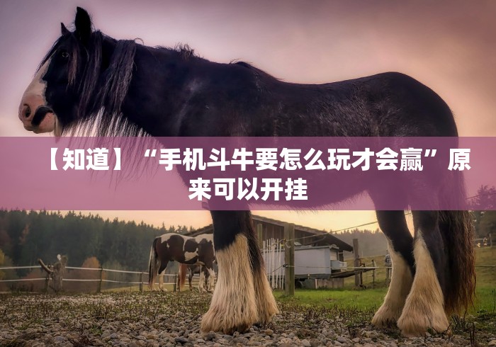 【第一财经】“微信微乐斗地主透视挂”(透视)开挂辅助脚本+详细开挂安装教程