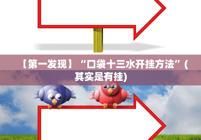 【第一发现】“口袋十三水开挂方法”(其实是有挂)