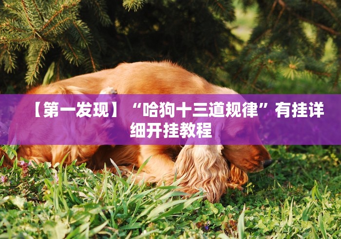 独家实测“微信小程序边锋斗地主是不是有猫腻”附开挂脚本详细步骤