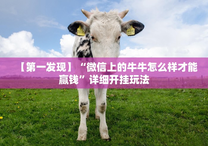 【第一发现】“微信上的牛牛怎么样才能赢钱”详细开挂玩法