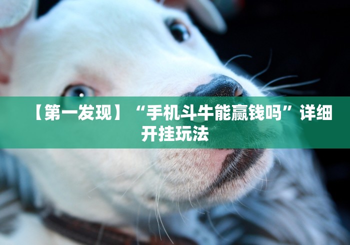分享实测攻略“乐吧盒子麻将挂最新版本更新内容下载!专业师傅带你一起了解(确实有挂)