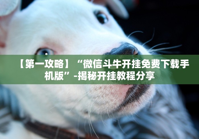 【第一财经】“冰雪派对棋牌挂免费安装”(确实是有挂)知乎