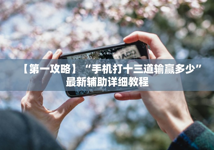 2026首发教程“微乐辅助器ios免费版”辅助透视教程