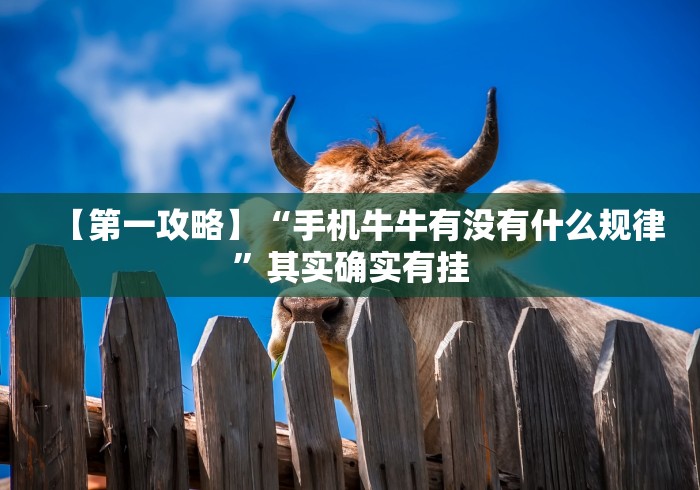 我来教教大家越乡游十三水有挂吗”(详细透视教程)