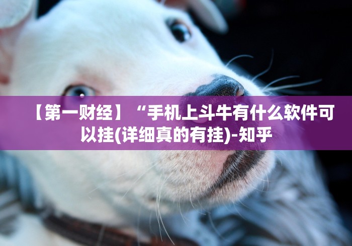 盼盼分享“聚闲麻将万能挂”(透视挂)辅助透视教程