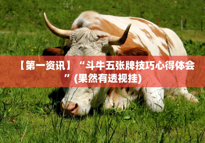 【给大家科普一下】“上海敲麻的规则及技术”附开挂脚本