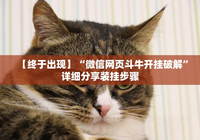 两分钟了解友间十三张开挂有风险吗(辅助外挂+教程)