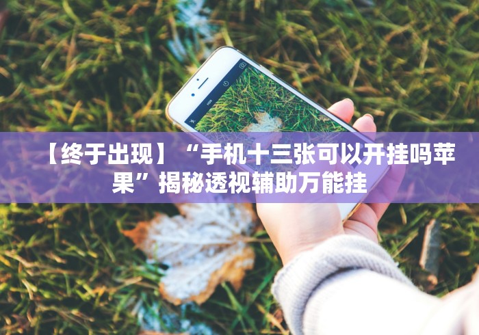 【重大消息】“微乐河北麻将挂真的假的”确实可以使用辅助