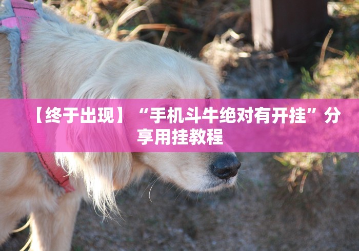 【玩家必备技术】“微信填坑可以作弊”(果然有透视挂) 