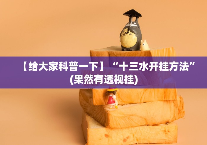 【给大家科普一下】“十三水开挂方法”(果然有透视挂)