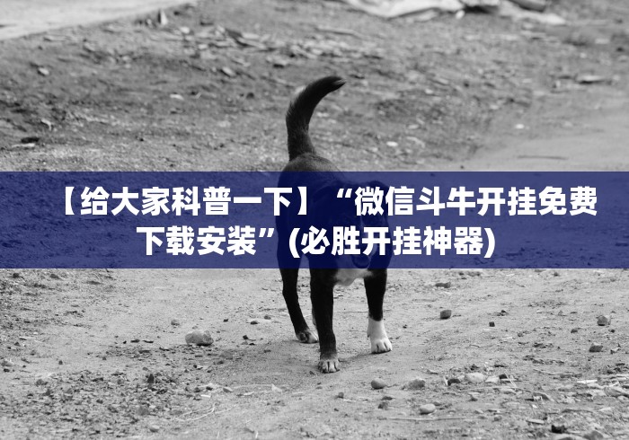2026玩家推荐:十三张麻将技巧”最新辅助详细教程