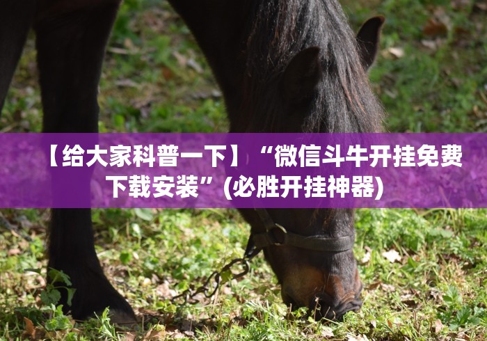 重大通报“亲友圈棋牌软件有没有挂”附开挂脚本详细步骤