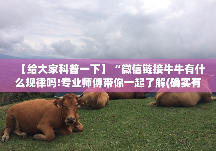【给大家科普一下】“微信链接牛牛有什么规律吗!专业师傅带你一起了解(确实有挂)
