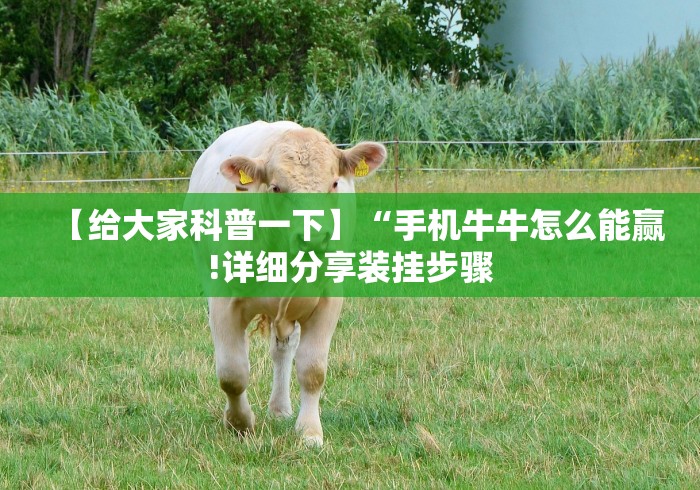 开挂教程“微乐陕西三代如何拿好牌”(确实有挂)