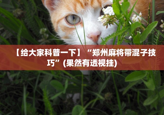 辅助盘点“欢乐雀友可以开挂吗”附开挂脚本详细教程