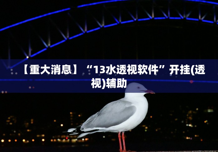 【重大消息】“13水透视软件”开挂(透视)辅助