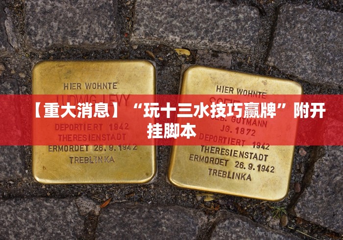 辅助开挂神器“微信微乐刨幺填大坑透视”（透视挂）辅助神器教程