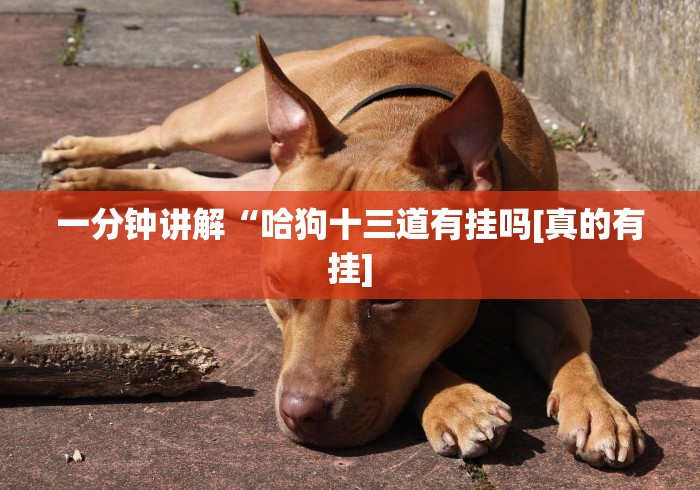 内幕揭晓“友缘茶馆可以开挂吗”(助赢详细开挂教程)